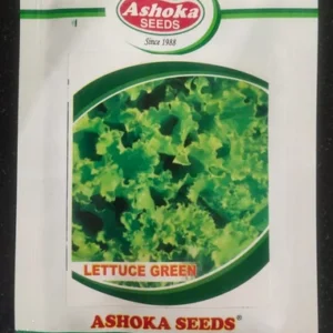 Lettuce Green 10g Ashoka