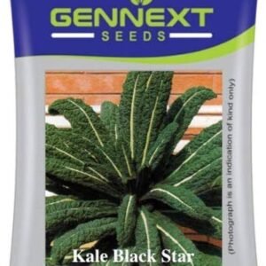 Kale Black Star (Flat) 10g Genext