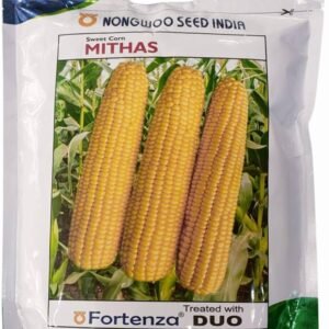 Mithas Sweet Corn