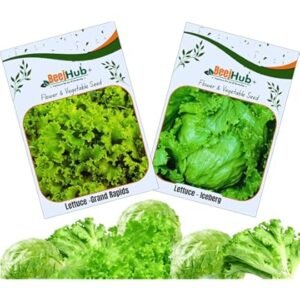 Lettuce Raider 100g Pure Seed