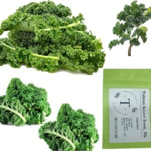 Kale Curly 1k Tobias