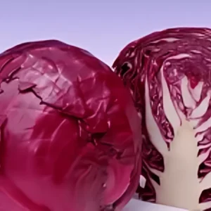 Cabbage Scarlet Pearl 10g Tokita