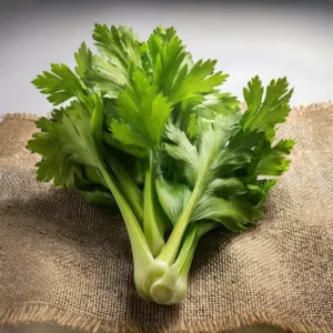 Celery 10gm Tobias