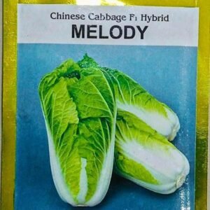 Chinese Cabbage Melody 10g Sakata