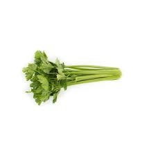 Celery Kylian 1k Rijkwaan