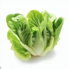 Lettuce Romain 10g Genext
