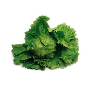 Lettuce Raider 100g Terranova