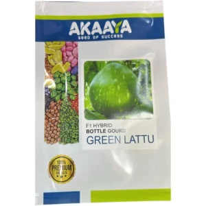Green Lattu Bottle Gourd
