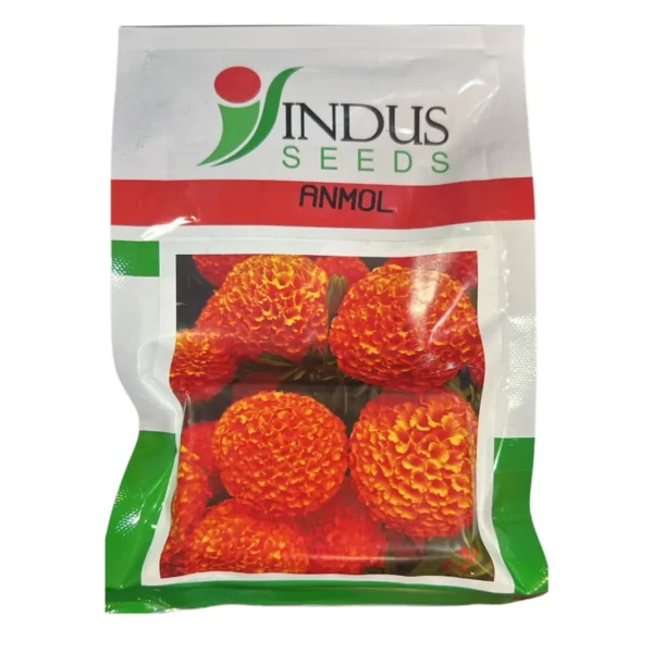 Anmol Rind Anmol F1 Hybrid Orange Marigold (Indus Seeds) – Bhagat Seeds