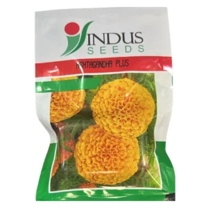 Indus Ashtagandha Plus