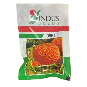 Indus Orbit Marigold