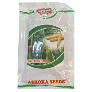 Baby Corn Tender