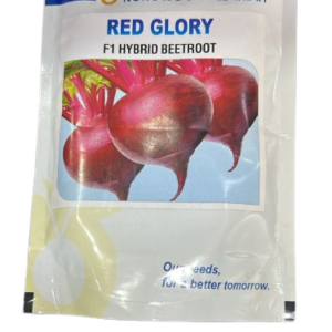 Nongwoo Seeds Red Glory F1 Hybrid Beetroot