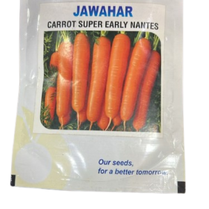 Jawahar Hybrid Carrot (Super Early Nantes)