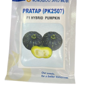 Pratap (PK2507) F1 Hybrid Pumpkin