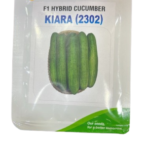 Kiara (2302) F1 Hybrid Cucumber