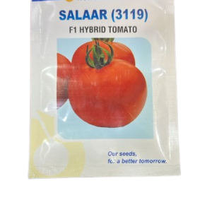 Salaar (3119) F1 Hybrid Tomato