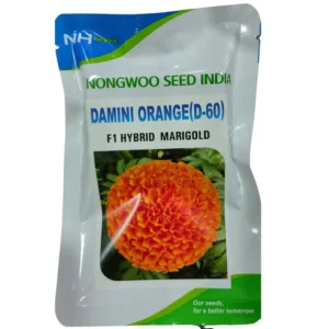 Damini Orange