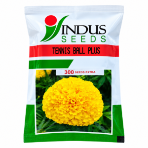 Indus Seeds Tennis Ball Plus Packet