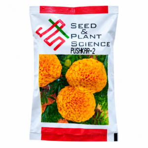 Marigold Pushkar-2 Seed Packet