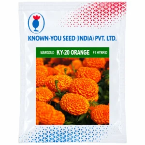 known-you-ky-20-orange-marigold-f1-hybrid-seeds