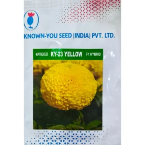known-you-ky-23-yellow-original-packet-white-background